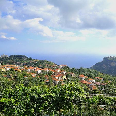 Вілла Agriturismo Il Castagno Аджерола Екстер'єр фото