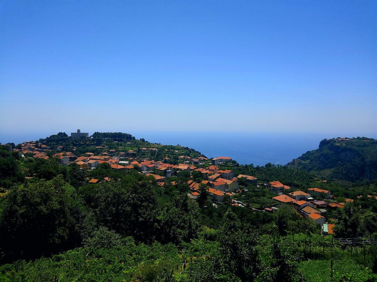 Вілла Agriturismo Il Castagno Аджерола Екстер'єр фото
