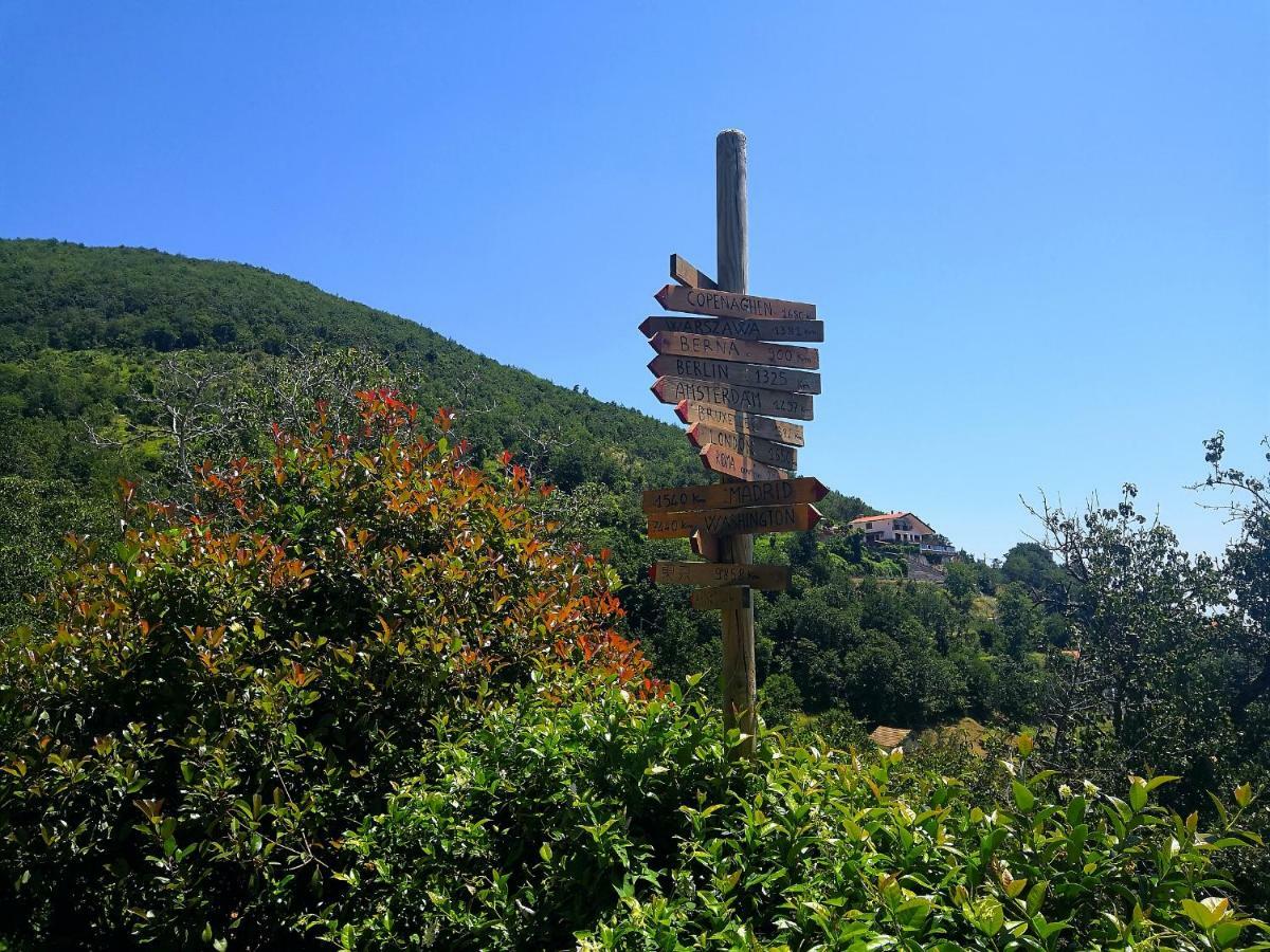 Вілла Agriturismo Il Castagno Аджерола Екстер'єр фото