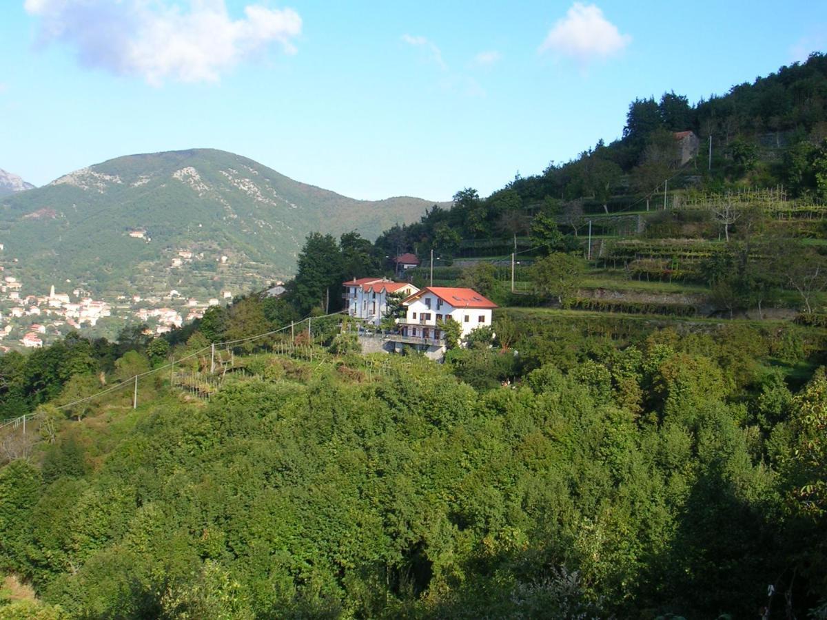Вілла Agriturismo Il Castagno Аджерола Екстер'єр фото
